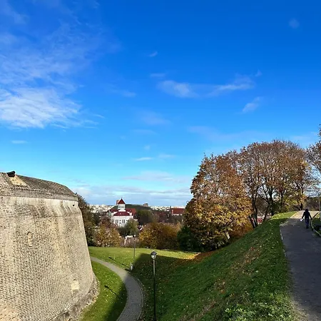 Ivis House - Stylish And Original In Old Town *