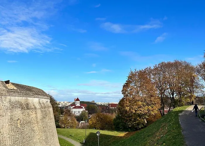 Ivis House - Stylish And Original In Old Town *