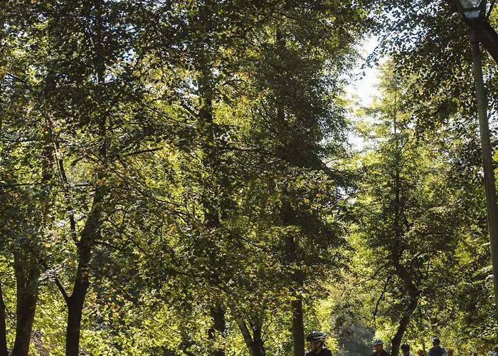 Butas Ivis House - Stylish And Original In Old Town Vilnius