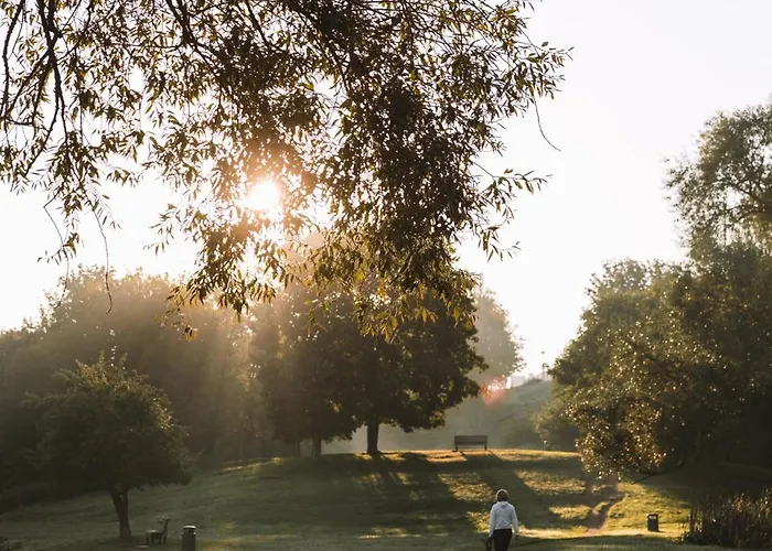 Ivis House - Stylish And Original In Old Town *